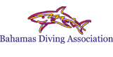 The official website of The Bahamas Diving Association -a complete scuba diving guide to The Islands of The Bahamas. Nassau, Freeport, Abaco and Bimini.