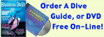 The official website of The Bahamas Diving Association -a complete scuba diving guide to The Islands of The Bahamas. Nassau, Freeport, Abaco and Bimini.